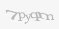 Защитный код